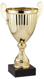 AMC320 Series Metal Trophy